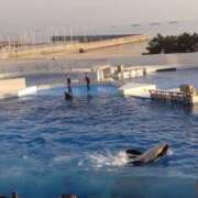 ヒメ日記 2026/02/10 11:40 投稿 松井 まお ギン妻パラダイス 谷九店