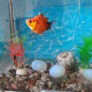 ヒメ日記 2026/02/19 11:04 投稿 松井 まお ギン妻パラダイス 谷九店