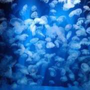 ヒメ日記 2026/03/01 10:54 投稿 松井 まお ギン妻パラダイス 谷九店