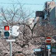 ヒメ日記 2025/04/02 15:03 投稿 毛利　つむぎ 京都ホットポイント