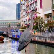 ヒメ日記 2025/12/25 23:17 投稿 天使 ドキン AMOUR（アムール）