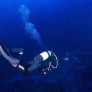 ヒメ日記 2026/02/06 19:23 投稿 天使 ドキン AMOUR（アムール）