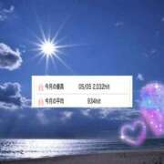ヒメ日記 2026/05/06 06:18 投稿 あん【素人】 タッチLabel（レーベル）