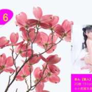 ヒメ日記 2026/05/29 17:19 投稿 あん【素人】 タッチLabel（レーベル）