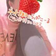 すみれ 今月の予定 脱がされたい人妻 町田・相模原店