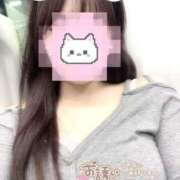 ヒメ日記 2025/09/20 19:26 投稿 あゆ とある風俗店♡やりすぎさーくる新宿大久保店♡で色んな無料オプションしてみました