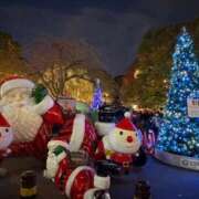 ヒメ日記 2025/11/30 14:18 投稿 夏希 ロイヤルヴィトン(宇都宮)