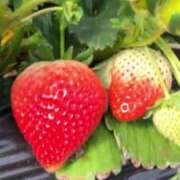 ヒメ日記 2025/03/23 15:49 投稿 前川（まえかわ） 熟女の風俗最終章 大宮店