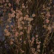 ヒメ日記 2025/03/30 17:59 投稿 前川（まえかわ） 熟女の風俗最終章 大宮店