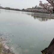 ヒメ日記 2025/04/13 15:09 投稿 前川（まえかわ） 熟女の風俗最終章 大宮店