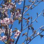 ヒメ日記 2025/05/10 16:32 投稿 前川（まえかわ） 熟女の風俗最終章 大宮店