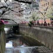 ヒメ日記 2025/05/17 18:18 投稿 前川（まえかわ） 熟女の風俗最終章 大宮店