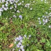 ヒメ日記 2025/06/08 17:35 投稿 前川（まえかわ） 熟女の風俗最終章 大宮店