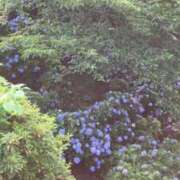 ヒメ日記 2025/07/05 19:05 投稿 前川（まえかわ） 熟女の風俗最終章 大宮店