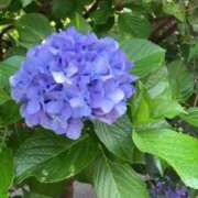 ヒメ日記 2025/07/06 15:15 投稿 前川（まえかわ） 熟女の風俗最終章 大宮店