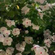 ヒメ日記 2025/10/19 15:39 投稿 前川（まえかわ） 熟女の風俗最終章 大宮店