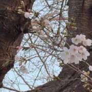 ヒメ日記 2026/03/28 22:01 投稿 前川（まえかわ） 熟女の風俗最終章 大宮店