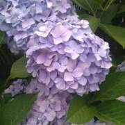 ヒメ日記 2025/06/25 13:11 投稿 谷 熟らぶ