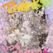 ヒメ日記 2025/04/05 14:04 投稿 あい チャーミーママ