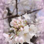 ヒメ日記 2025/04/13 20:56 投稿 あい チャーミーママ