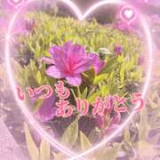 ヒメ日記 2025/04/20 15:22 投稿 あい チャーミーママ