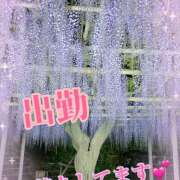 ヒメ日記 2025/04/30 11:44 投稿 あい チャーミーママ