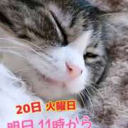 ヒメ日記 2025/05/19 23:40 投稿 あい チャーミーママ