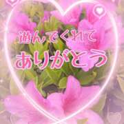 ヒメ日記 2025/05/22 15:06 投稿 あい チャーミーママ