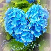 ヒメ日記 2025/06/25 22:26 投稿 あい チャーミーママ