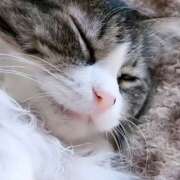 ヒメ日記 2025/08/27 12:20 投稿 あい チャーミーママ