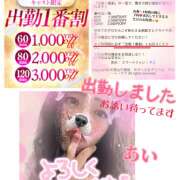 ヒメ日記 2025/10/12 11:04 投稿 あい チャーミーママ