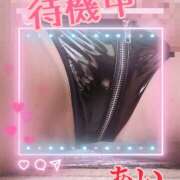 ヒメ日記 2026/03/14 15:40 投稿 あい チャーミーママ