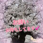 ヒメ日記 2026/04/02 12:06 投稿 あい チャーミーママ