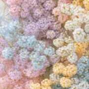 ヒメ日記 2025/08/09 17:06 投稿 森乃 いつき ハレ系 放課後クラブ