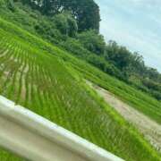 ヒメ日記 2026/01/05 10:08 投稿 森乃 いつき ハレ系 放課後クラブ