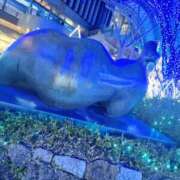 ヒメ日記 2026/01/08 18:04 投稿 森乃 いつき ハレ系 放課後クラブ