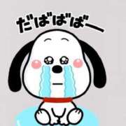 ヒメ日記 2026/04/13 09:42 投稿 森乃 いつき ハレ系 放課後クラブ