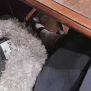 ヒメ日記 2025/12/25 13:22 投稿 めぐ ルネッサンス