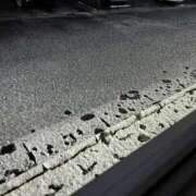 ヒメ日記 2025/03/19 05:35 投稿 じゅん 水戸人妻花壇