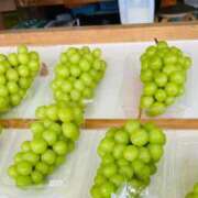 ヒメ日記 2025/09/28 14:33 投稿 じゅん 水戸人妻花壇