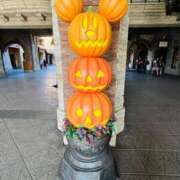 ヒメ日記 2025/10/10 23:33 投稿 じゅん 水戸人妻花壇