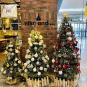 ヒメ日記 2025/10/31 12:18 投稿 じゅん 水戸人妻花壇