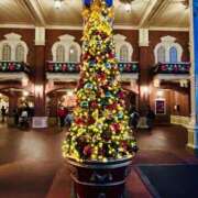 ヒメ日記 2025/11/02 16:42 投稿 じゅん 水戸人妻花壇