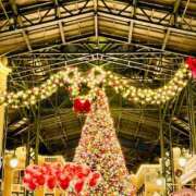 ヒメ日記 2025/11/12 05:22 投稿 じゅん 水戸人妻花壇