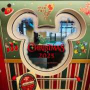 ヒメ日記 2025/11/14 14:30 投稿 じゅん 水戸人妻花壇