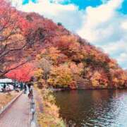 ヒメ日記 2025/11/15 12:19 投稿 じゅん 水戸人妻花壇