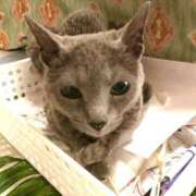 ヒメ日記 2025/11/28 03:41 投稿 じゅん 水戸人妻花壇