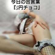 ヒメ日記 2026/02/11 07:36 投稿 朝比奈 熟女の風俗最終章 新横浜店