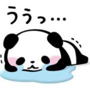 ヒメ日記 2025/05/26 14:13 投稿 なな 人妻・若妻デリヘル レディプレイス