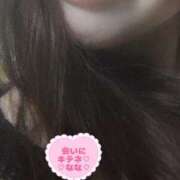 ヒメ日記 2025/07/29 09:49 投稿 なな 人妻・若妻デリヘル レディプレイス